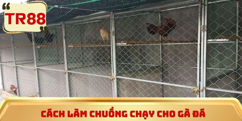 Cách làm chuồng chạy cho gà đá