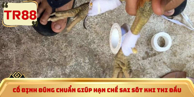 Cố định đúng chuẩn giúp hạn chế sai sót khi thi đấu