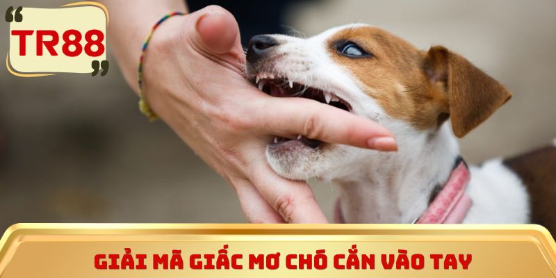 Giải mã giấc mơ chó cắn vào tay