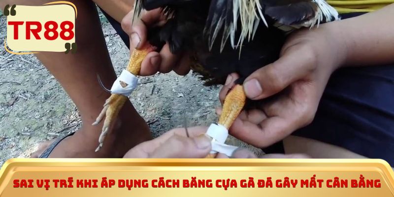 Sai vị trí khi áp dụng cách băng cựa gà đá gây mất cân bằng