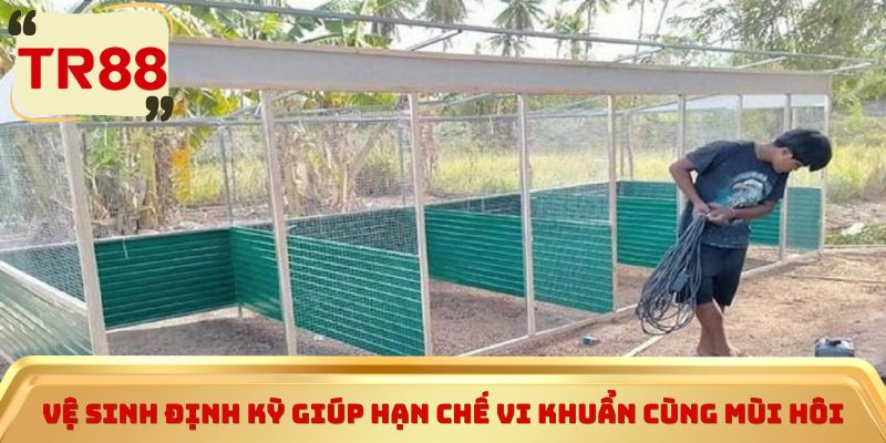 Vệ sinh định kỳ giúp hạn chế vi khuẩn cùng mùi hôi